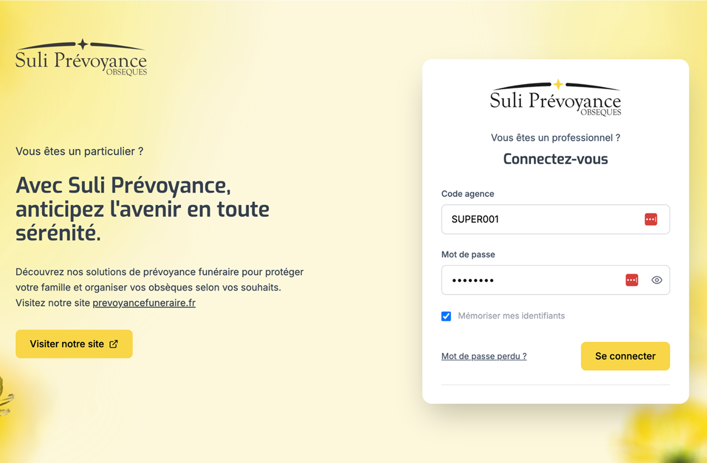 Suli Web — couverture du projet