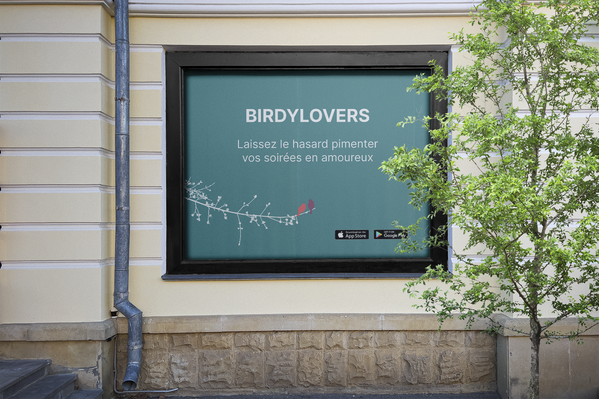 Affichage Birdylovers